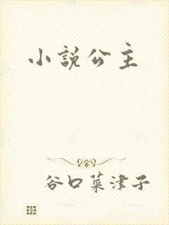 小说公主封面