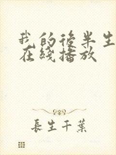 我的后半生免费在线播放封面