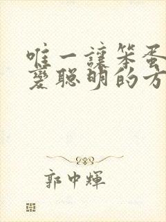唯一让笨蛋妹妹变聪明的方法只有我的xx封面