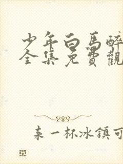 少年白马醉春风全集免费观看17集