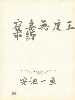 宠妻无度王爷乖乖缠