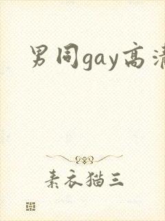 男同gay高清