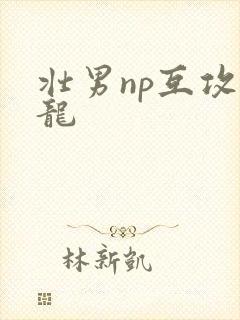 壮男np互攻双龙