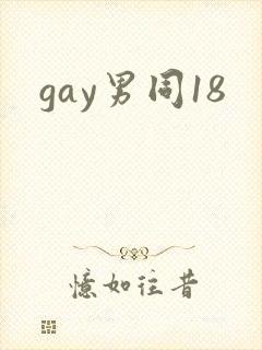 gay男同18