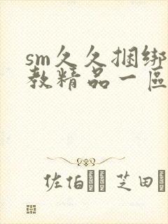 sm久久捆绑调教精品一区