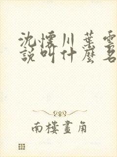 沈怀川叶云舒小说叫什么名字封面