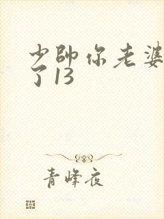少帅你老婆又跑了13