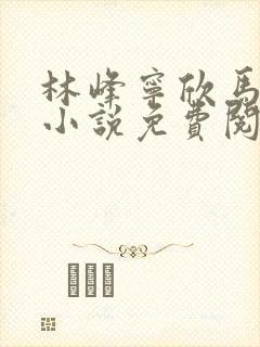 林峰宁欣马帮国小说免费阅读笔趣阁封面