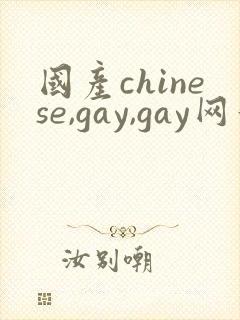 国产chinese,gay,gay网站