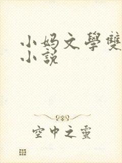 小妈文学双男主小说