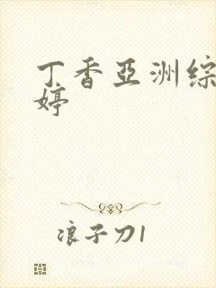 丁香亚洲综合婷婷