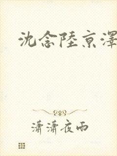 沈念陆京泽
