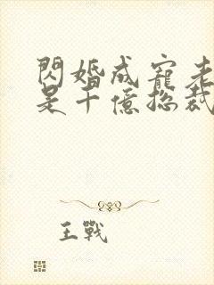闪婚成宠老公竟是千亿总裁