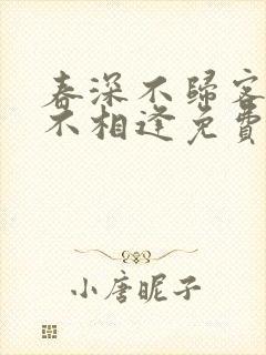 春深不归客清梦不相逢免费版