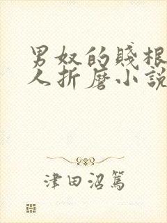 男奴的贱根被主人折磨小说封面
