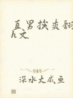 直男挨爽翻呻淫h文