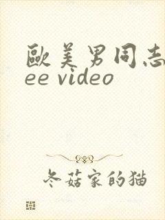 欧美男同志free video