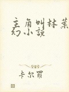主角叫林叶的玄幻小说封面