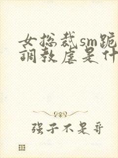 女总裁sm跪爬调教虐是什么
