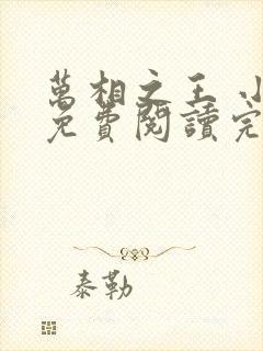 万相之王 小说免费阅读完本封面