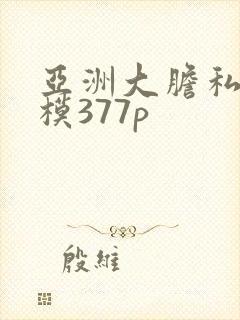 亚洲大胆私拍国模377p封面