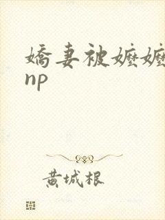 娇妻被嬷嬷调教np