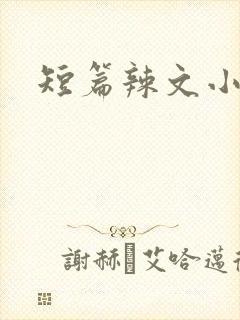短篇辣文小说集