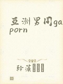 亚洲男同gayporn