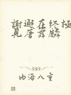 谢邂在终极斗罗见唐舞麟