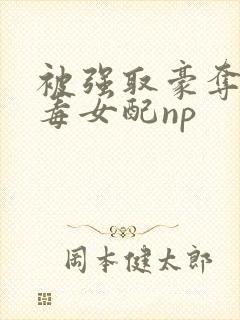 被强取豪夺的恶毒女配np封面