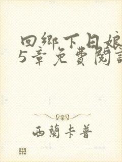 回乡下日娘第15章免费阅读