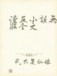 渣反小说无删减版全文