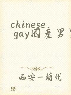 chinese gay国产男男