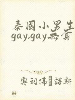 泰国小男生同性gay,gay无套