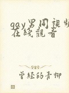 gay男同视频在线观看