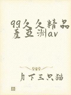 99久久精品国产亚洲av
