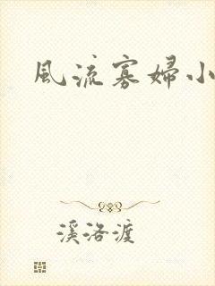 风流寡妇小说