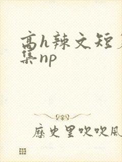 高h辣文短篇合集np