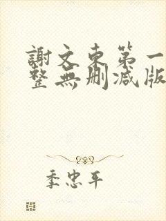 谢文东第一季完整无删减版封面