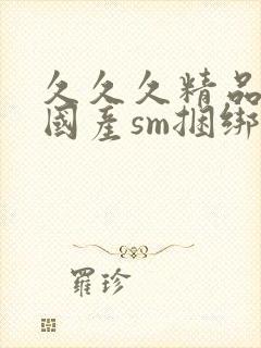 久久久精品调教国产sm捆绑