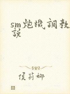 sm炮机调教小说封面