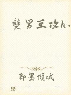 双男互攻h小说
