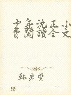 少年沈正小说免费阅读全文