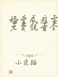 婚爱成瘾电视剧免费观看全集封面