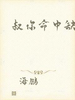 叔你命中缺我封面