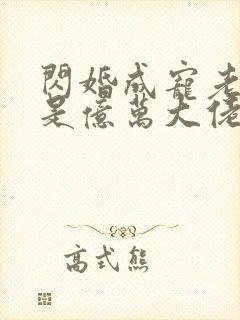 闪婚成宠老公竟是亿万大佬