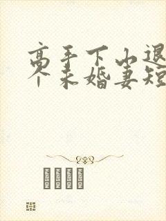 高手下山退婚九个未婚妻短剧在线观看全集