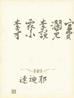 李霖李澜官场奇才小说免费阅读