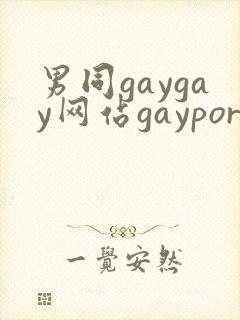 男同gaygay网站gayporn封面