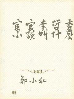 宦官李哲秀原著小说叫什么名字封面